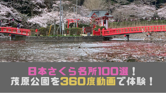 茂原なび 千葉県茂原市の情報をお届けします